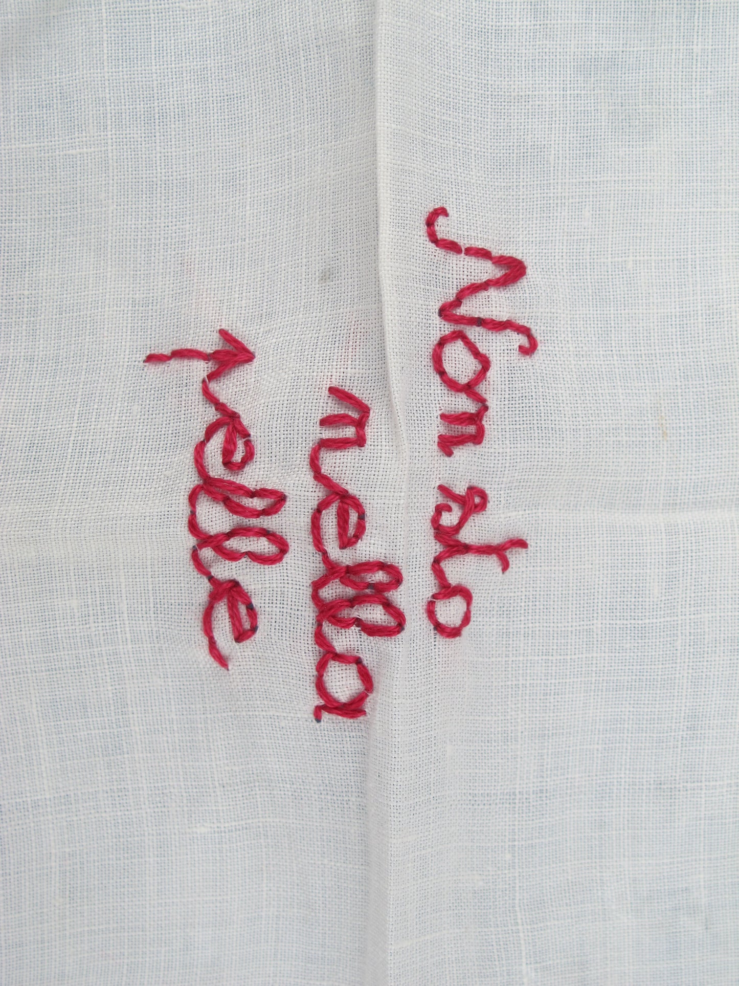 Non sto nella pelle – Handmade embroidery artwork