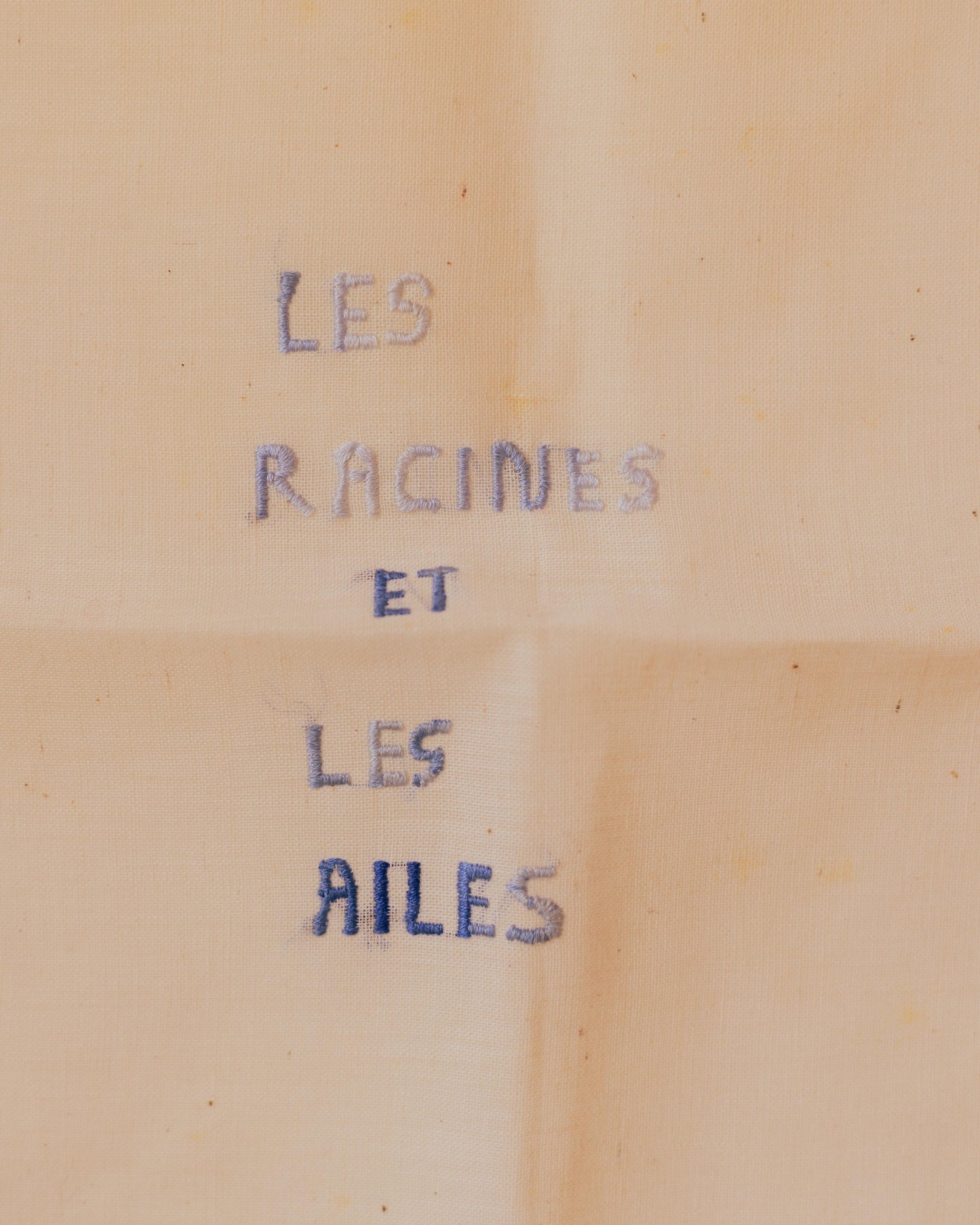 Les racines et les ailes – Hand-embroidered artwork