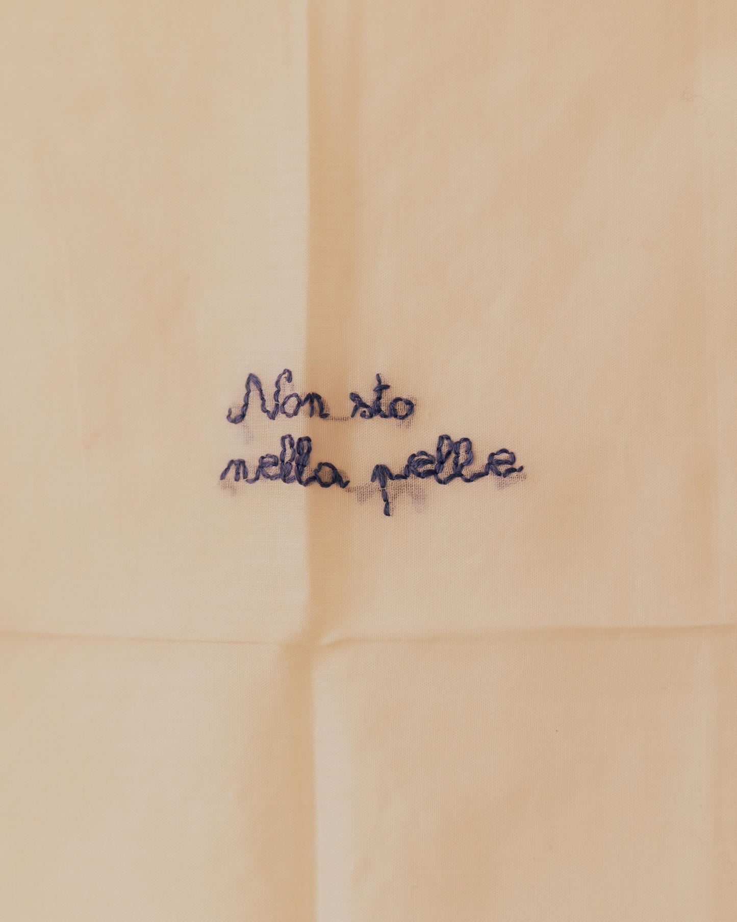 Non sto nella pelle – Hand-embroidered artwork